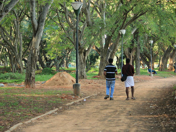 നടപ്പാത