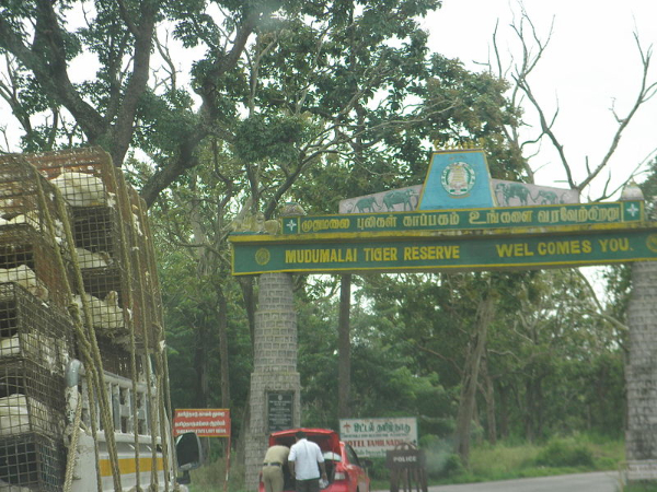 04. ബാംഗ്ലൂര് - ബന്ദിപ്പൂര് - ഊട്ടി