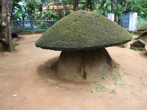 അരിയന്നൂർ കുടക്കല്ല്