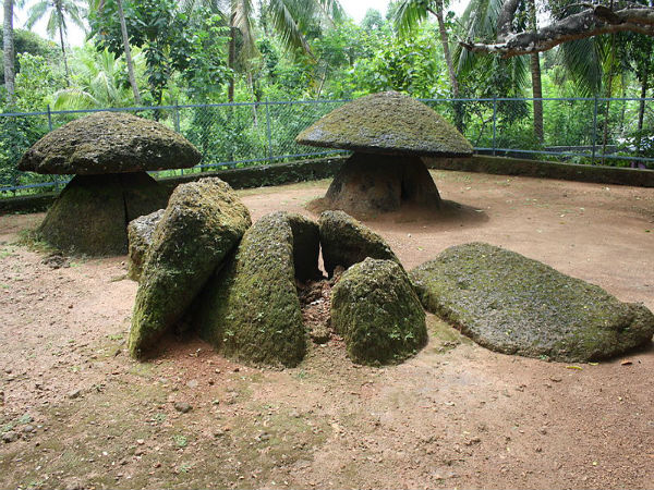 അരിയന്നൂർ കുടക്കല്ല്