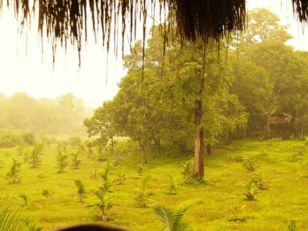 എത്തിച്ചേരാന്