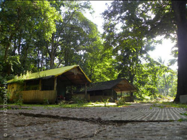 ജംഗിള് ലോഡ്ജ്