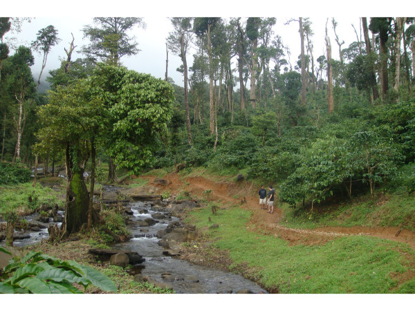 02. കാപ്പി മണമുള്ള തോട്ടങ്ങള്