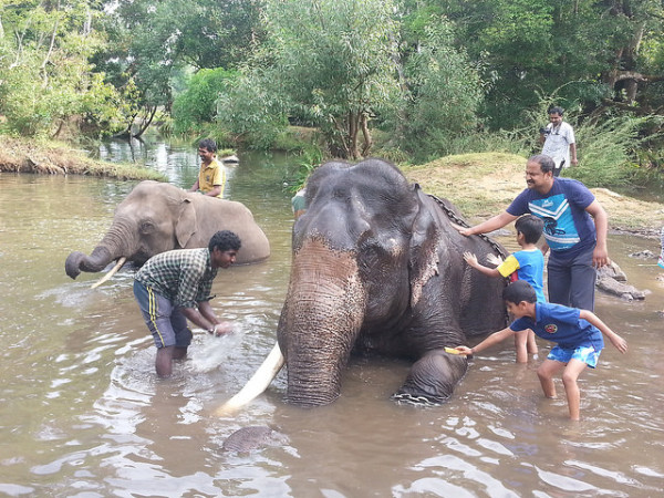 ദുബാരെ