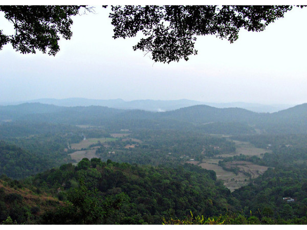 05. ക്യാമറയുണ്ടോ കയ്യില്