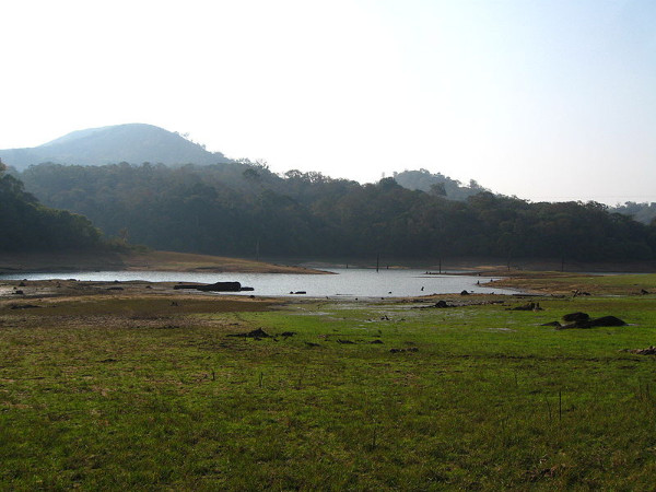 വനംവകുപ്പിന്റെ വാഹനം