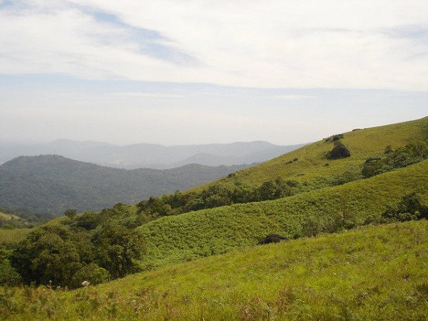 അനുമതി