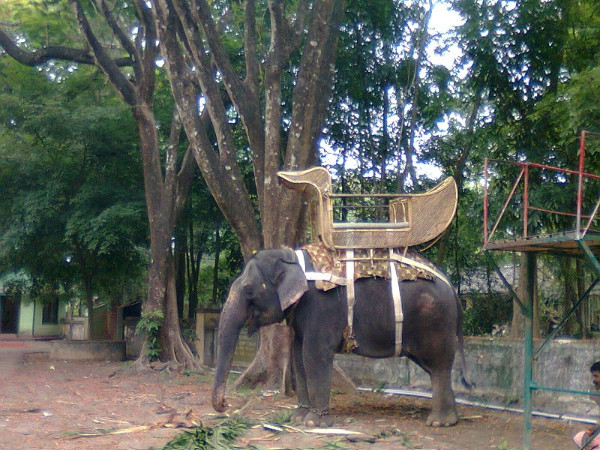 കോടനാട്