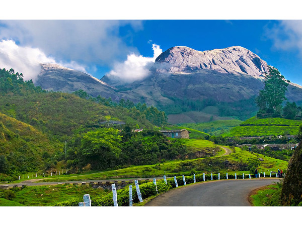 തേയിലത്തോട്ടങ്ങൾ