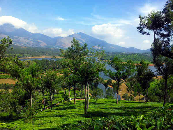 04. ആനയിറങ്കല് ഡാം