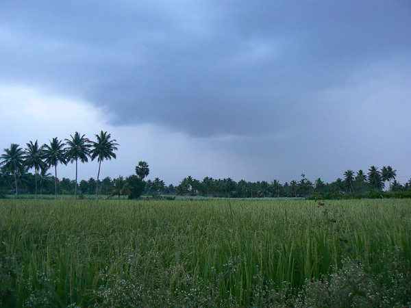 മേട്ടൂർ