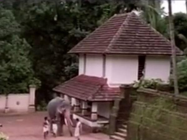 50. ഒളപ്പമണ്ണമന, ചെർപ്പുളശ്ശേരി