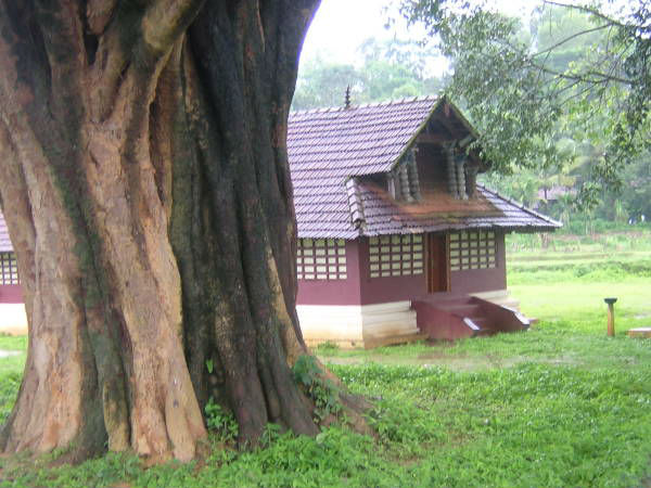 വള്ളിയൂര്ക്കാവ് ക്ഷേത്രം
