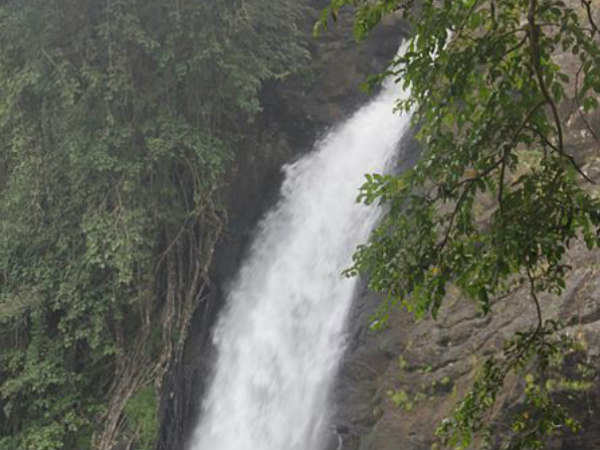 സൂചിപ്പാറ വെള്ളച്ചാട്ടം