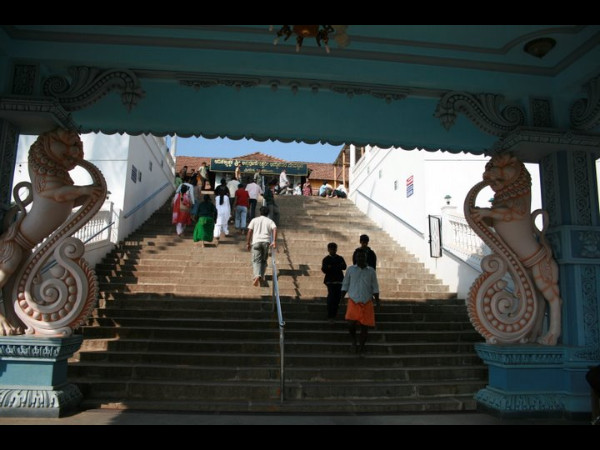 15. ഹൊറനാട്