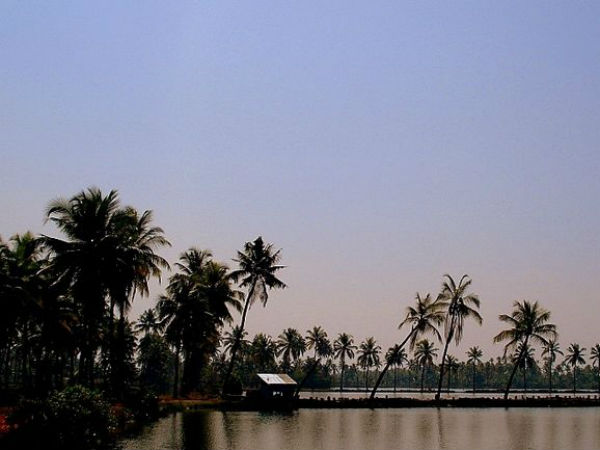 ജലാശയകൃഷി