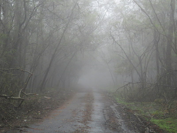 ഗ്ലൻമോർഗാൻ