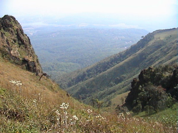 മുല്ലയാനഗിരി