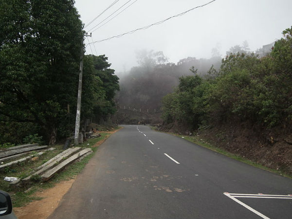 കുട്ടിക്കാനം