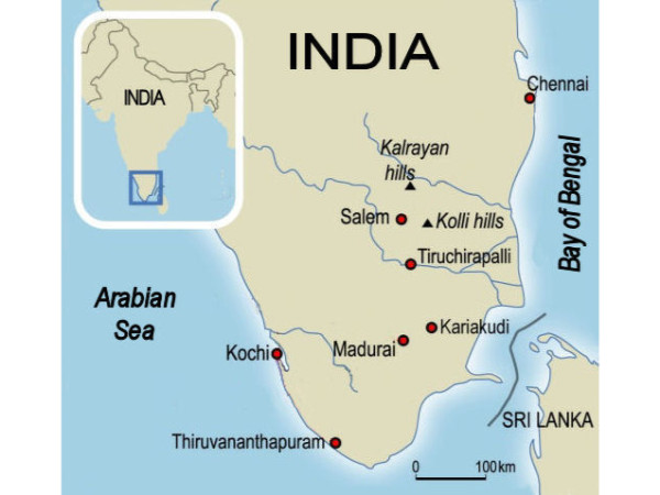 മാപ്പ്