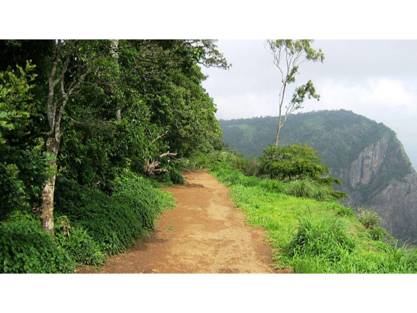 06. നെല്ലിയാമ്പതി, പാലക്കാട്