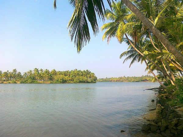 13. കവ്വായി, 45 കി മീ