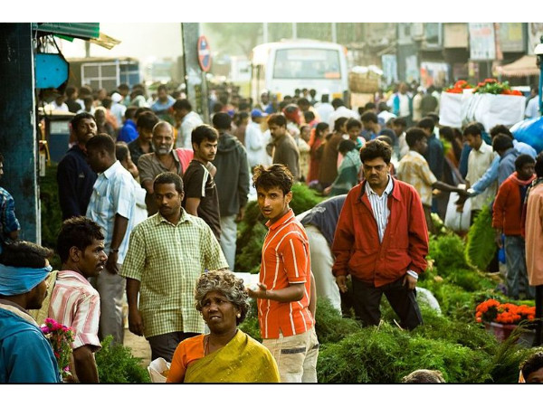 ഇലകൾ
