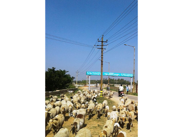 മൈസൂരിന് മുൻപേ