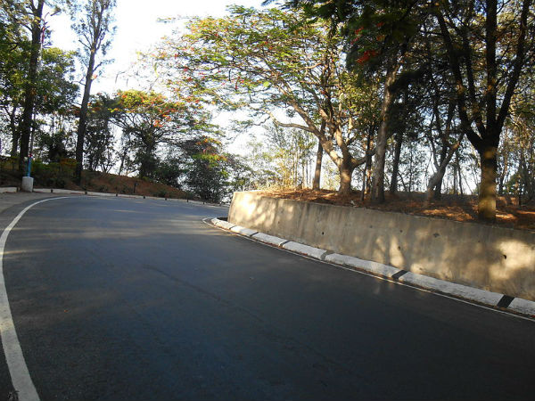 റോഡ്