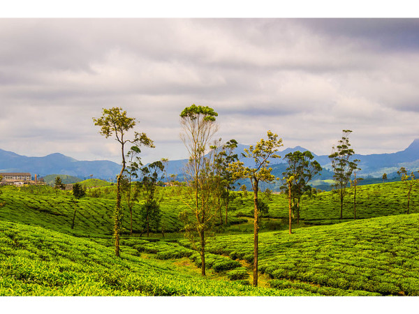 6. വാൽപ്പാറൈ