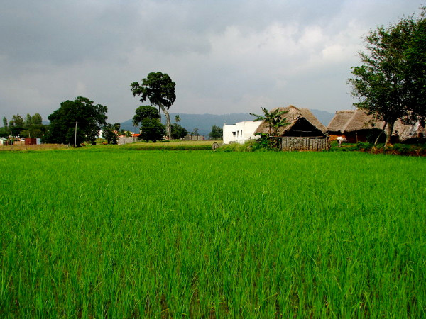07. യേലഗിരി