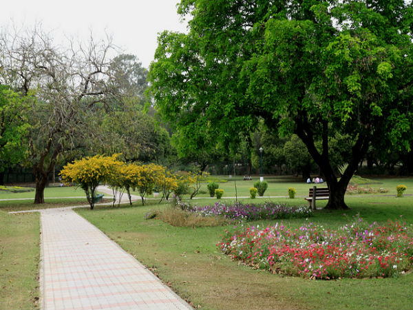 റോസ് ഗാർഡൻ