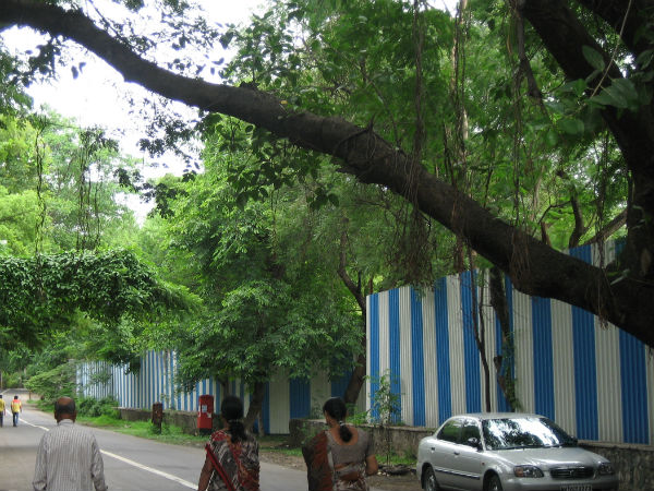 1. കൊറേഗാവുന് പാര്ക്ക്