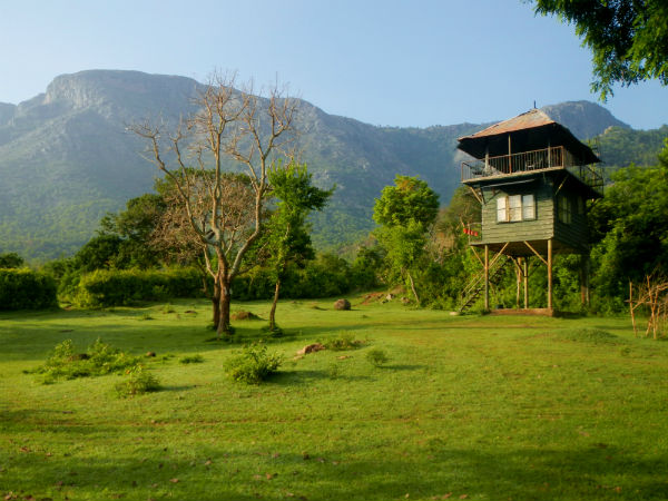 3. മുതുമലൈ നാഷണല് പാര്ക്ക്