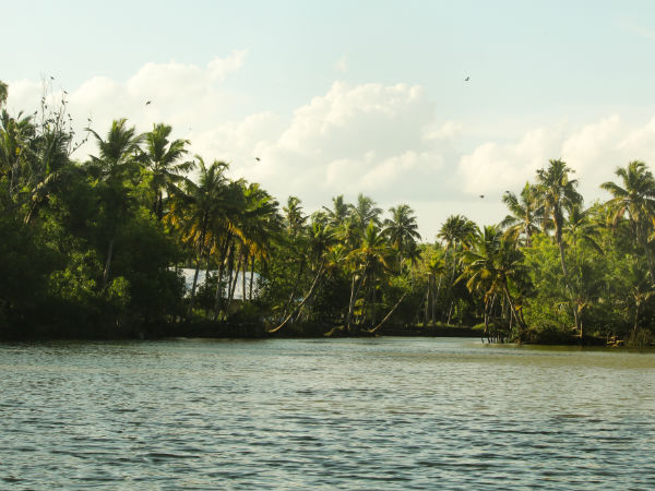 unexplored estuary unexplored estuary