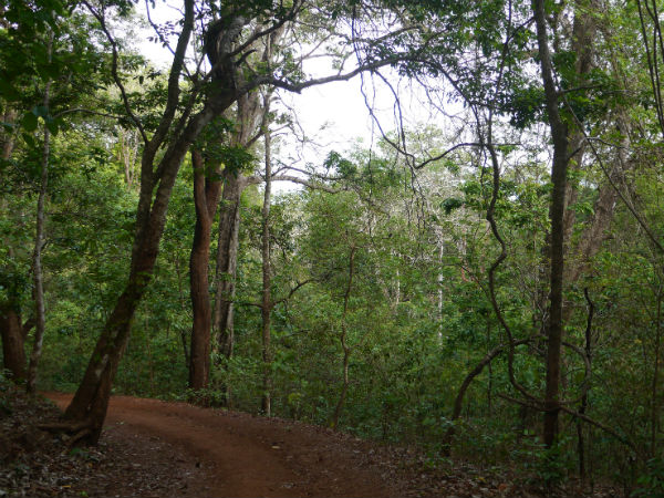 ഏലമണമുള്ള ഗവി