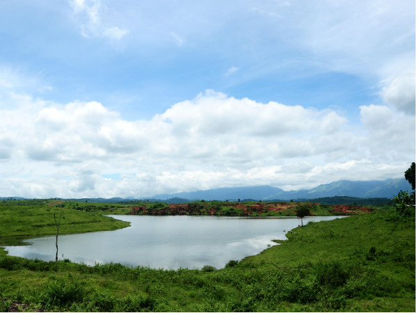 വയനാട്