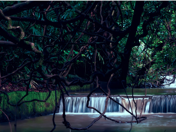 ബോണ്ട്ലയിലൊരു ദിനം