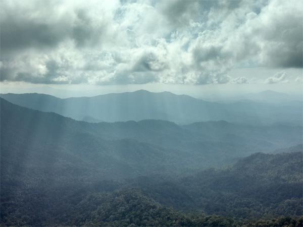 നീലാകാശവും പച്ചഭൂമിയും കാണാന് നീലാകാശവും പച്ചഭൂമിയും കാണാന്