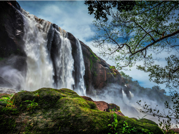 Jungle safari monsoon tourism Jungle safari monsoon tourism