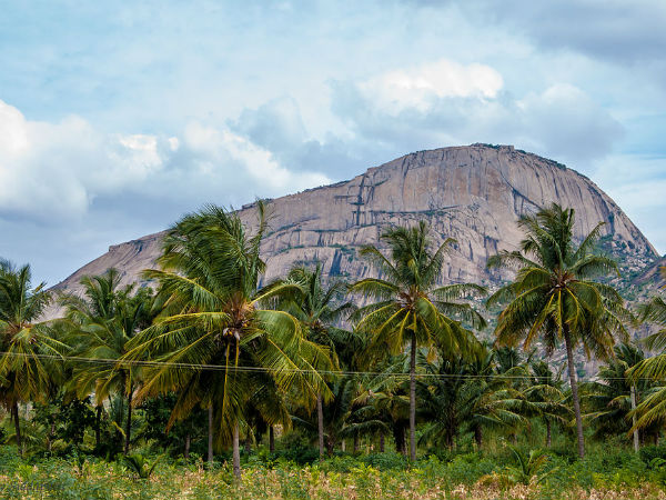 മധുഗിരി