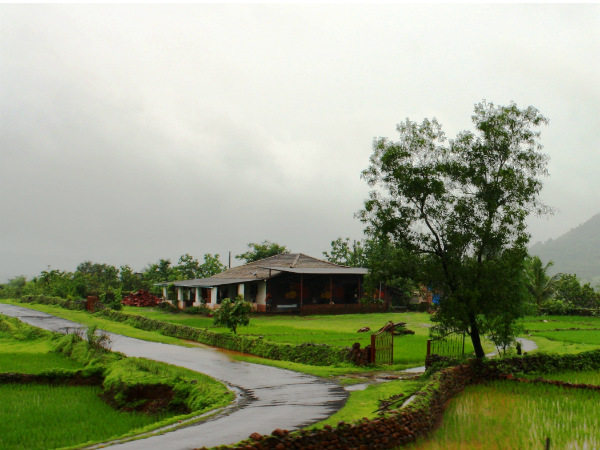 ഉറങ്ങാത്ത നഗരത്തില് നിന്നും പാര്ട്ടി രാവുകളിലേക്ക്