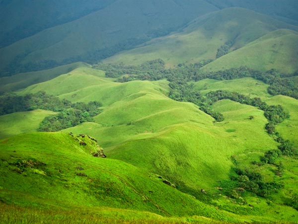 നീലാകാശവും പച്ചഭൂമിയും കാണാന് നീലാകാശവും പച്ചഭൂമിയും കാണാന്