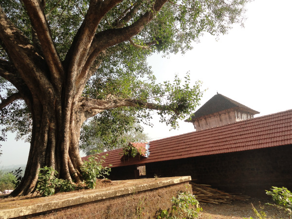 രാത്രിയില് കൂട്ടിയ ചട്ടം