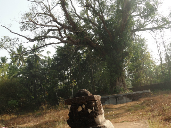പരശുരാമന് സ്ഥാപിച്ച ക്ഷേത്രം