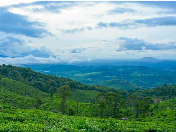 വയനാട്