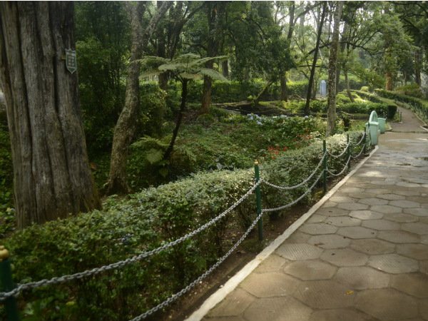സിംസ് പാര്ക്ക്