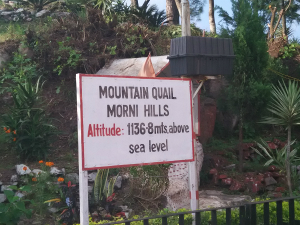 മോര്നി ഫോര്ട്ട്