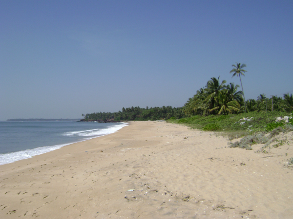 തോട്ടട ബീച്ച്