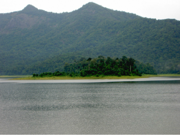ചിമ്മിണി വന്യജീവി സംരക്ഷണ കേന്ദ്രം